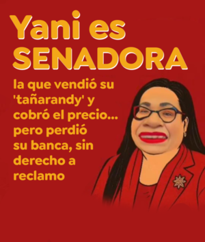 Yamy Nal: La senadora que negó todo, luego admitió todo, y terminó expulsada sin excusas ni redención - Info Alto Parana