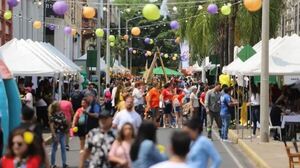  Lanzan "Palma Joven" con 2.000 becas de estudio y formación