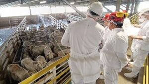 Autoridades peruanas inspeccionan planta cárnica y controles sanitarios en Paraguay