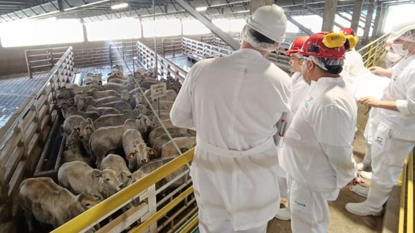 Autoridades peruanas inspeccionan planta cárnica y controles sanitarios en Paraguay