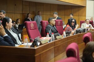 Senado, convertido una vez más en un circo político