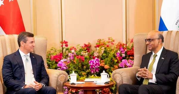 La Nación / Promulgan ley de acuerdo entre Mercosur y Singapur