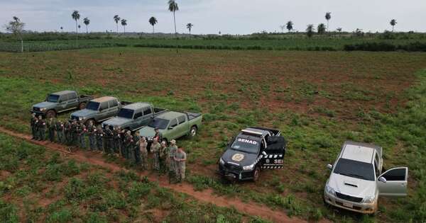 Diario HOY | Eliminan ocho hectáreas de marihuana en San Pedro