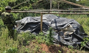 Operativo conjunto en Agüerito retira casi 25.000 kilos de droga del mercado - OviedoPress