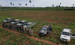 Eliminan ocho hectáreas de marihuana en San Pedro – Prensa 5