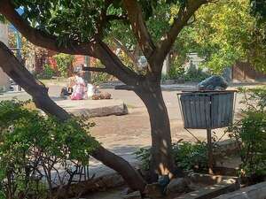 “Bello panorama” en Asunción: falta de recolección de basura en casi todos los barrios  - Crónicas Ciudadanas - ABC Color