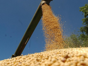 Zafra mundial reduciría reservas de soja y maíz