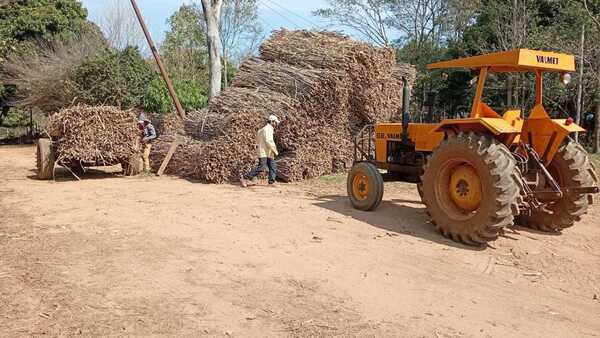 Cañicultores exigen culminación del tren de molienda de Troche