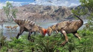 Hallan en Mongolia un ejemplar de paquicefalosaurio, el más antiguo y completo hasta ahora