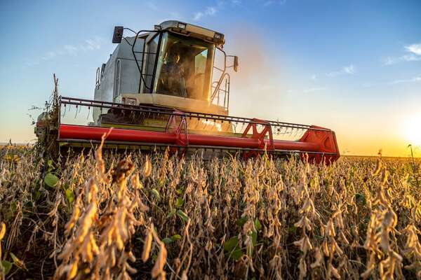 Paraguay busca reabrir el mercado de soja en Taiwán - ABC Rural - ABC Color