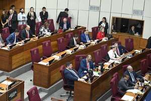 Senado devuelve con cambios a Diputados proyecto de ley de registro nacional de personas desaparecidas  - Política - ABC Color