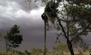 Meteorología: vuelven las lluvias y hay alerta de tormentas en Paraguay  - Clima - ABC Color