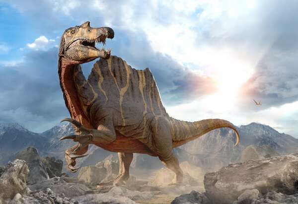 Descubren en Teruel fósiles que podrían cambiar la historia del Spinosaurus - Ciencia - ABC Color