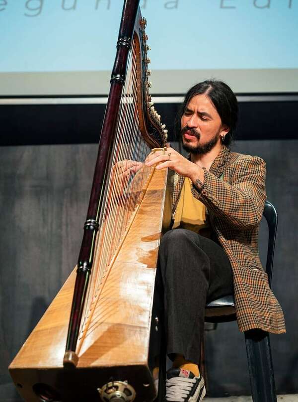 Cinco proyectos paraguayos se suman a la grilla del Festival Mundial del Arpa - Música - ABC Color