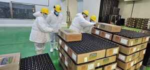 Técnicos de Perú inspeccionan frigoríficos de Itapúa para la apertura a la exportación de carne porcina