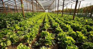 MAG Impulsa la producción orgánica y agroecológica