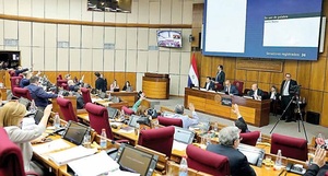Ley Mafe obliga a reacción inmediata ante denuncias