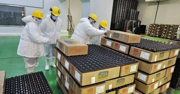 Diario HOY | Perú verifica frigorífico en Itapúa para abrir su mercado a la carne porcina paraguaya