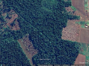 Nuevo caso de deforestación en la Reserva San Rafael: 37 hectáreas arrasadas pese a la Ley de Deforestación Cero