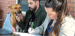 Alientan la tenencia y el bienestar animal