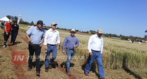 ITAPÚA PROMUEVE LA AGRICULTURA SOSTENIBLE EN JORNADA DEL IPTA