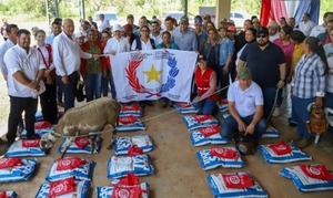 Fortalecen producción ovina y avícola con entrega de animales e insumos en Concepción - ADN Digital