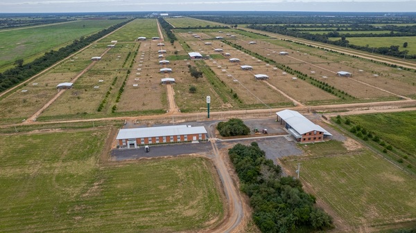 La biotecnología gana protagonismo en la mejora de los rodeos comerciales