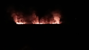 Video: Bomberos controlan incendio de gran magnitud en pastizales de Santa Fe del Paraná