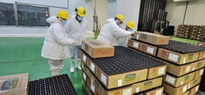 Perú verifica frigorífico en Itapúa para abrir su mercado a la carne porcina paraguaya