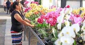 Sentí la primavera en Flori Feria y una colección única