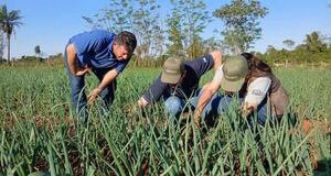 Unas 100 familias de Itapúa fortalecen su economía con cultivos diversificados