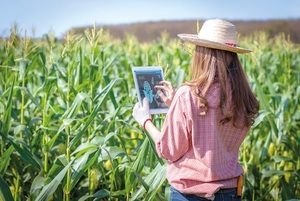 México lidera y crece la AgroTech ante reto mundial - La Tribuna