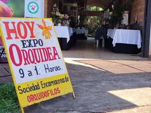 Expo Orquídea en Cambyretá: especial para recibir la primavera - Nacionales - ABC Color