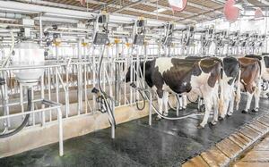 Industria láctea: hay estabilidad, pero deben invertir más, explican  - ABC Rural - ABC Color