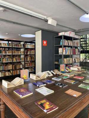 Biblioteca Nacional celebrará sus 138 años con una mañana de lectura - Literatura - ABC Color