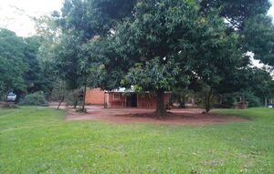 Mujer denuncia usurpación de terreno con aval del INDERT - Concepción al Día