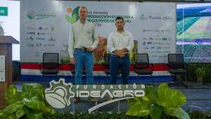 Fundación Ideagro presentó resultados de la Red de Ensayos de Evaluación (REEI) de soja, maíz y sorgo campaña 2024/25 - ABC Rural - ABC Color