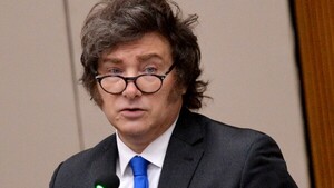 El peso se derrumba por “pánico político”