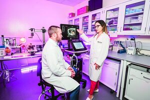 Científicos crean IA que detecta riesgos en sonidos cardíacos