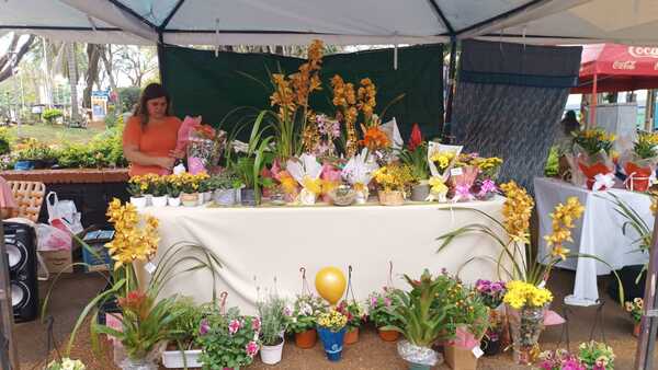Flores amarillas invaden Encarnación en celebración de la primavera