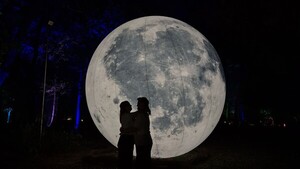 Aura Lumina: un bosque de luces, naturaleza y sensaciones en Asunción