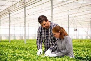 Ingenieros agrónomos celebran su día con cifras que marcan el desarrollo nacional | Unicanal