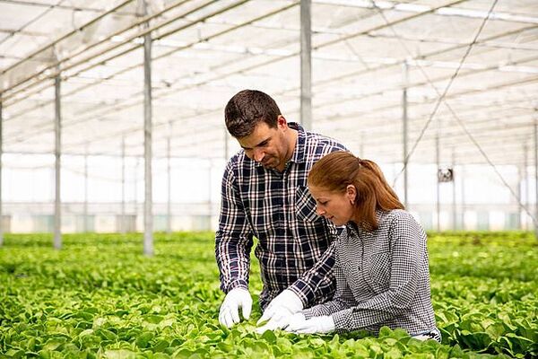 Ingenieros agrónomos celebran su día con cifras que marcan el desarrollo nacional | Unicanal