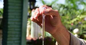 La Nación / Prueban método innovador para combatir los mosquitos en Asunción