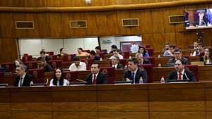 ANDE pide consenso en fusión de Minas y Energía al MIC