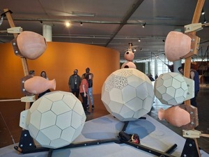 36ª Bienal de São Paulo. Entre luces y sombras