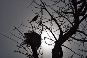 Lluvias y tormentas marcan el inicio de la Primavera - La Tribuna