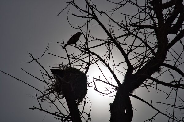 Lluvias y tormentas marcan el inicio de la Primavera - La Tribuna