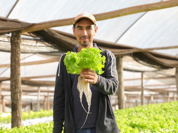 Lanzan programa Jepytaso para fortalecer el desarrollo del campo y beneficiar a los  agricultores  - trece