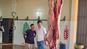 Con cuatro ventiladores intentarán solucionar problemática de moscas y larvas en matadería de San Ignacio